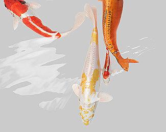 4X策略游戏《神圣太阳联盟》明年一季度发售 支持中文